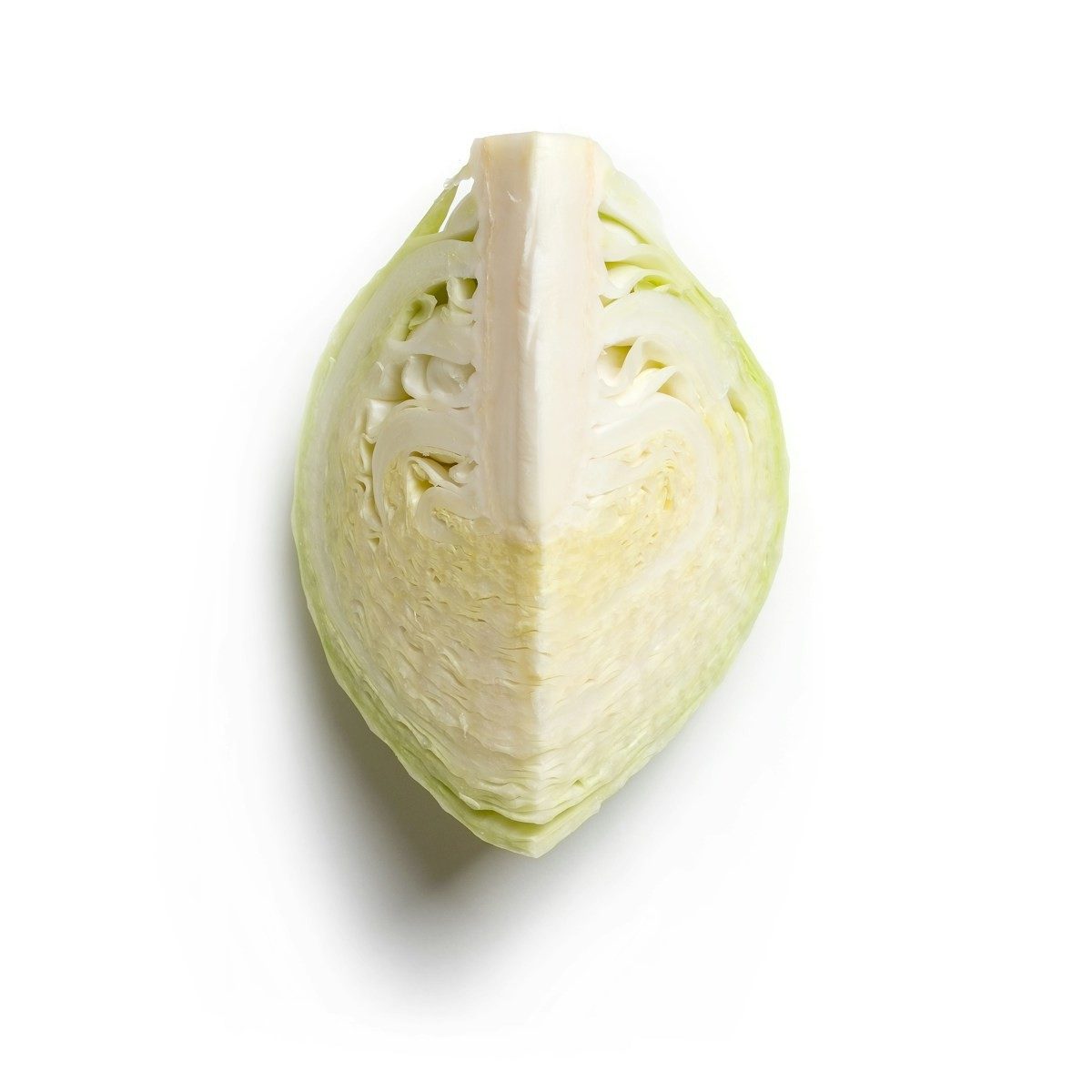 Ein Viertel Spitzkohl mit hellem, festem Inneren auf weißem Grund