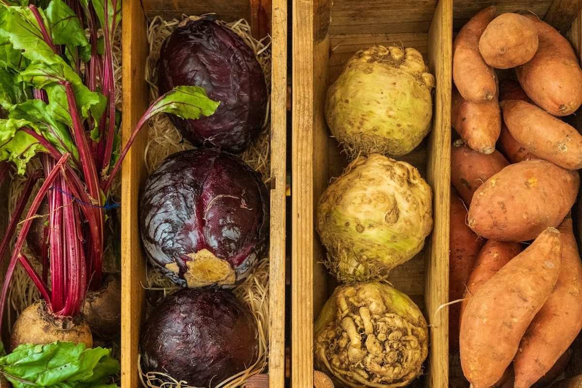 Holzkisten mit Rote Bete, Rotkohl, Knollensellerie und Süßkartoffeln, nebeneinander von oben
